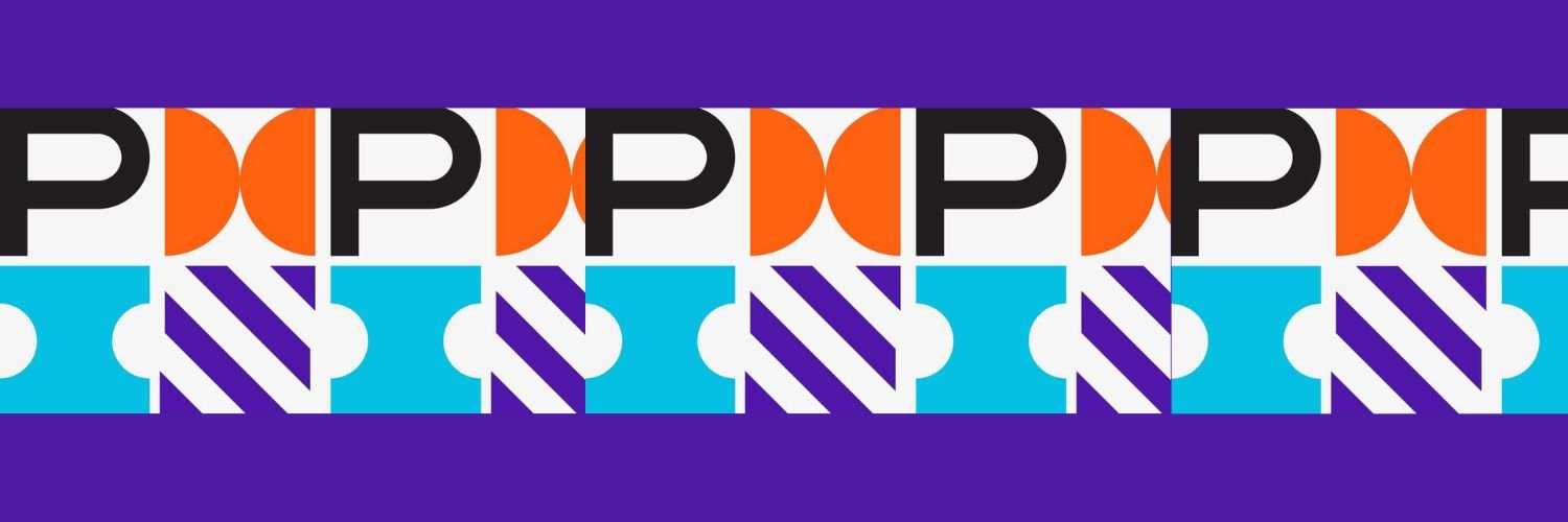 PMP project management professional